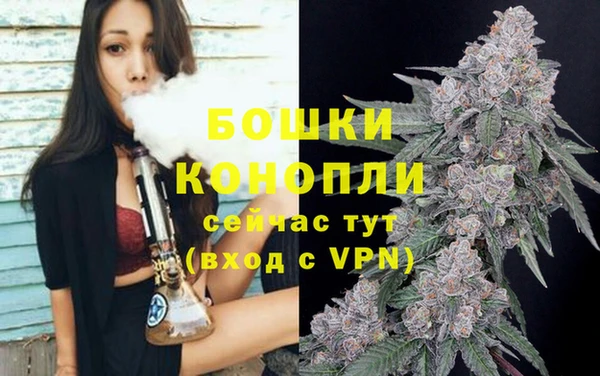 амф Арсеньев