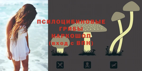 амф Арсеньев