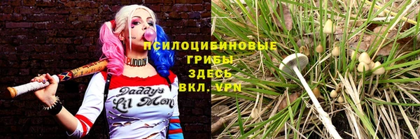 амф Арсеньев