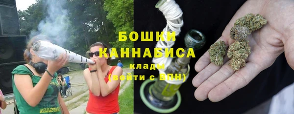 амф Арсеньев