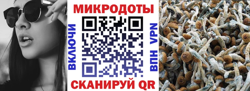 Псилоцибиновые грибы Cubensis МЕГА ссылка Медногорск наркота